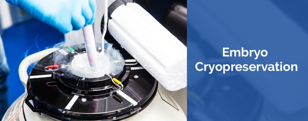 Semen and Embryo Cryopreservation Laboratory