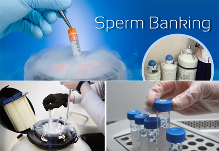 Sperm Banking